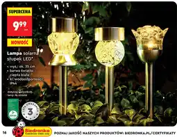 Biedronka gardenic Lampa solarna słupek LED oferta