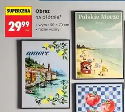 Biedronka Obraz na płótnie oferta