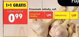 Biedronka Czosnek młody szt oferta