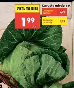 Biedronka Kapusta młoda szt oferta