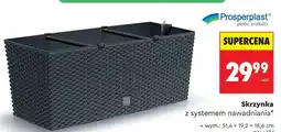 Biedronka Skrzynka oferta