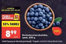 Biedronka Borówka amerykańska opak 300 g oferta