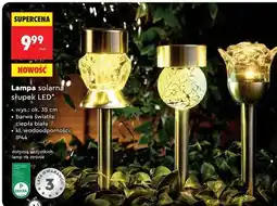 Biedronka Lampa solarna słupek LED oferta