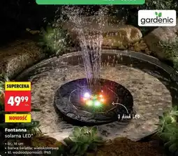Biedronka Fontanna solarna LED oferta