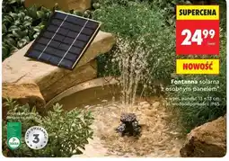 Biedronka Fontanna solarna z osobnym panelem oferta