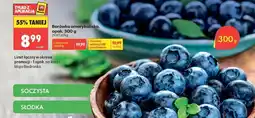 Biedronka Borówka amerykańska opak 300 g oferta