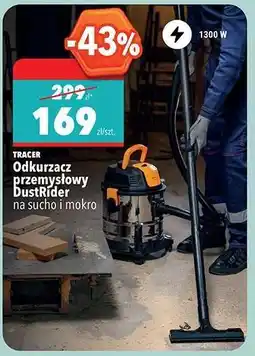 Biedronka Odkurzacz przemysłowy DustRider oferta