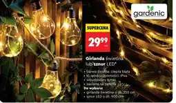Biedronka Girlanda świetlna lub sznur LED oferta