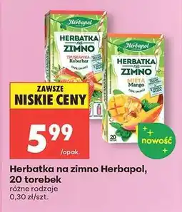 Biedronka Herbatka na zimno Herbapol, 20 torebek oferta