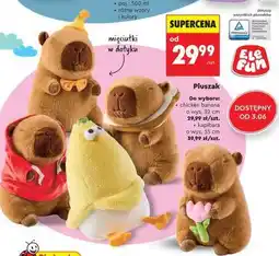 Biedronka Pluszak oferta