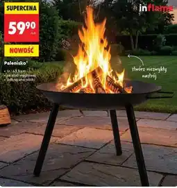 Biedronka Palenisko oferta
