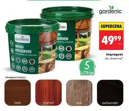 Biedronka WOOD PRESERVER oferta