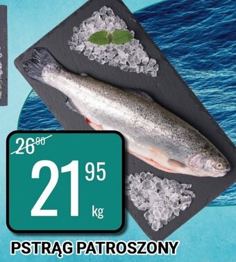 bi1 Pstrąg patroszony 1kg oferta