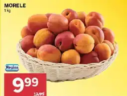 Stokrotka Morele oferta