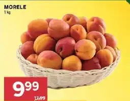 Stokrotka Market Morele oferta