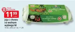 E.Leclerc Polska Kurka Jaja z chowu na wolnym wybiegu M oferta