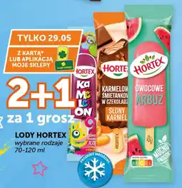 Groszek Lody hortex oferta
