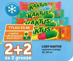 Groszek Lody kaktus oferta