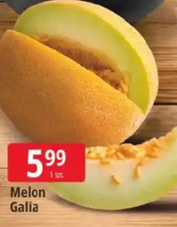 E.Leclerc Melon Galia oferta
