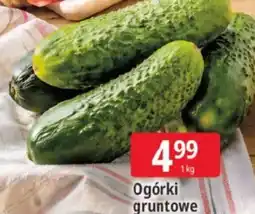 E.Leclerc Ogórki gruntowe oferta