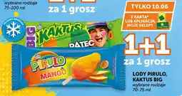 Groszek Lody pirulo, kaktus big oferta