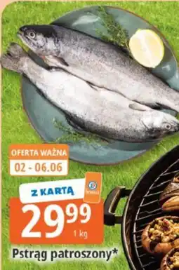 E.Leclerc Pstrąg patroszony oferta