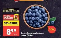 Biedronka Borówki amerykańskie oferta