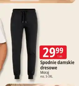E.Leclerc Spodnie damskie dresowe Moraj roz. S-3XL oferta