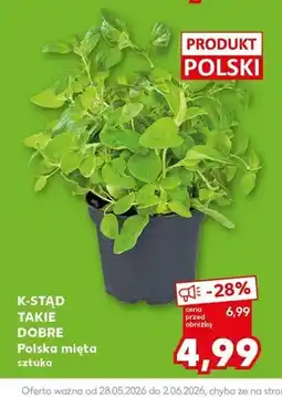 Kaufland Polska mięta K-Stąd Takie Dobre oferta