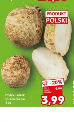Kaufland Polski seler korzeń luzem oferta