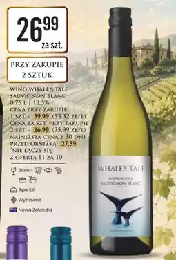 Dino Wino Whale's Tale Sauvignon Blanc białe wytrawne Nowa Zelandia oferta