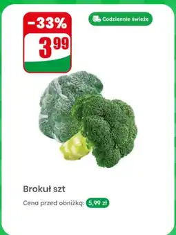 Dino Brokuł oferta