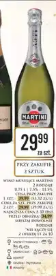 Dino Wino musujące Martini Asti oferta
