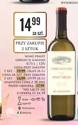 Dino Wino Pinot Grigio Il Gaggio 12% białe aperitif wytrawne Włochy oferta
