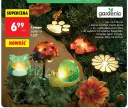 Biedronka Lampa solarna LED Gardenic biedronka wys. 8,5-16cm IP44 oferta