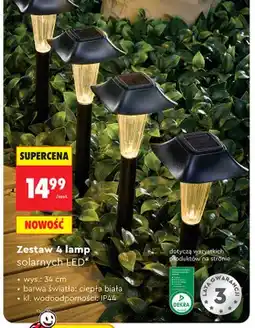 Biedronka Zestaw 4 lamp solarnych LED wys. 34cm oferta