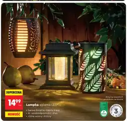 Biedronka Lampka solarna LED Gardenic oferta