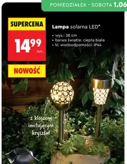 Biedronka Lampa solarna LED wys. 38cm oferta