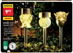 Biedronka Lampa solarna słupek LED wys. ok. 35cm IP44 oferta