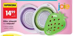 Biedronka Sitka joie oferta