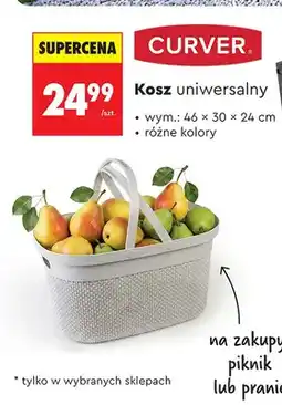 Biedronka Kosz uniwersalny CURVER 46x30x24cm oferta