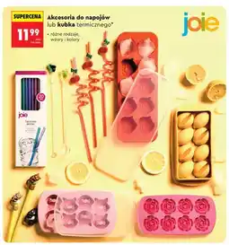 Biedronka Akcesoria do napojów joie oferta