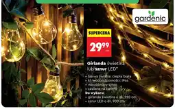 Biedronka Girlanda świetlna Gardenic dł. 220cm oferta