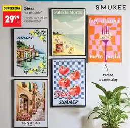 Biedronka Obraz na płótnie Smukee 50x70cm oferta