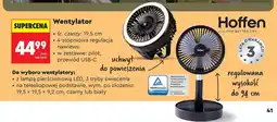 Biedronka Wentylator z lampą pierścieniową LED Hoffen oferta