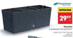 Biedronka Skrzynka z systemem nawadniania Prosperplast wym.: 51,4x19,2x18,6cm poj oferta