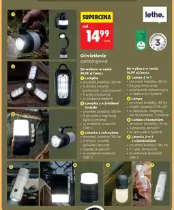 Biedronka Lampka z 4 źródłami światła lethe oferta