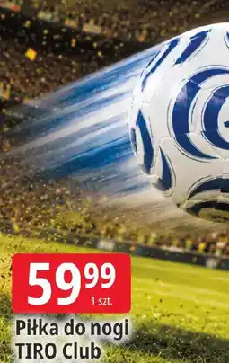 E.Leclerc Jordan Kapelusz damski oferta