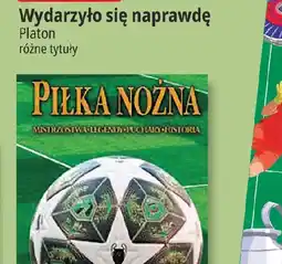 E.Leclerc Mgb Buty męskie oferta