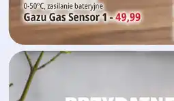 E.Leclerc The bbq Pit Grill jednorazowy oferta